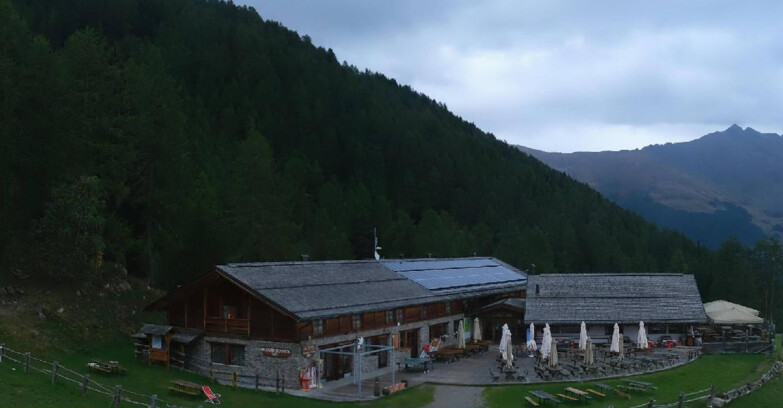 Webcam Pejo 3000 - Rifugio Scoiattolo