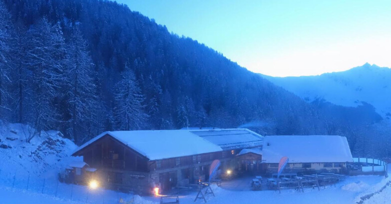 Webcam Pejo 3000 - Rifugio Scoiattolo