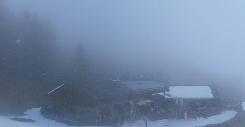 Webcam Pejo 3000 - Rifugio Scoiattolo