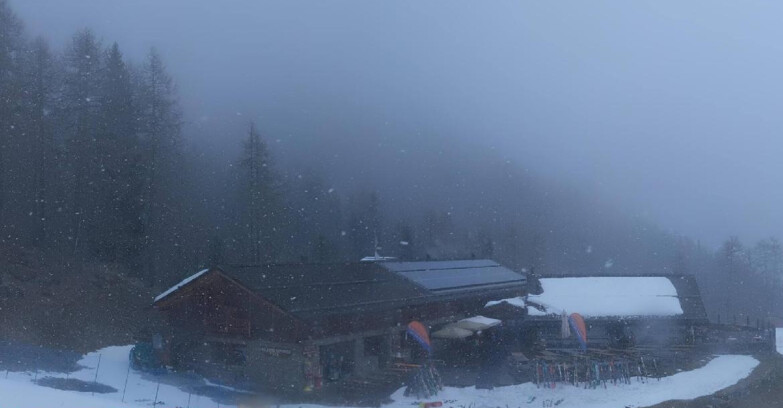 Webcam Pejo 3000 - Rifugio Scoiattolo