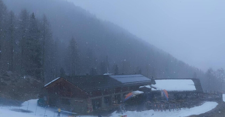 Webcam Pejo 3000 - Rifugio Scoiattolo