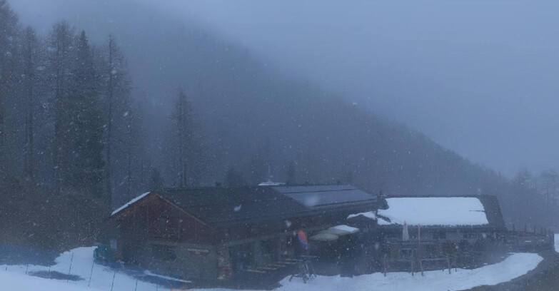 Webcam Pejo 3000 - Rifugio Scoiattolo