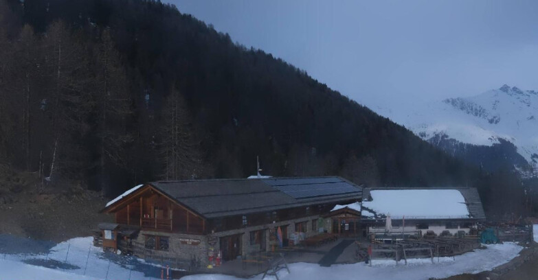 Webcam Pejo 3000 - Scoiattolo Berghütte