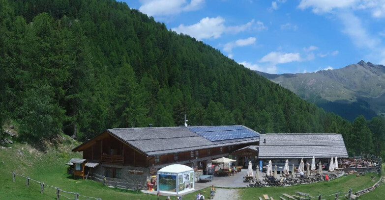 Webcam Pejo 3000 - Rifugio Scoiattolo