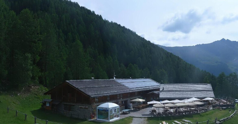 Webcam Pejo 3000 - Rifugio Scoiattolo