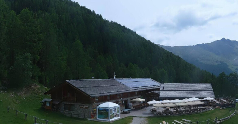 Webcam Pejo 3000 - Rifugio Scoiattolo