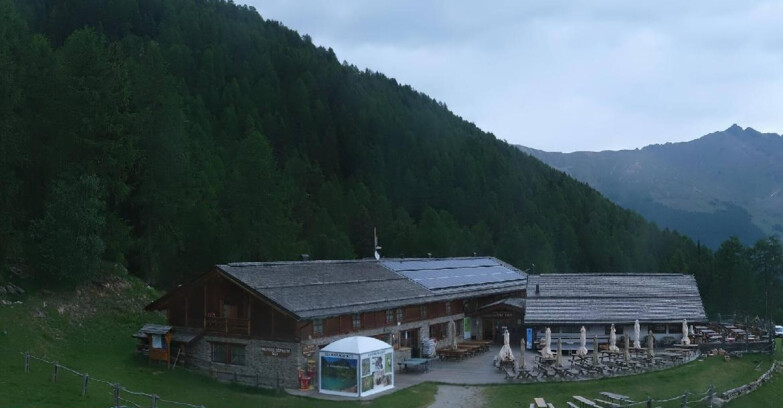 Webcam Pejo 3000 - Rifugio Scoiattolo