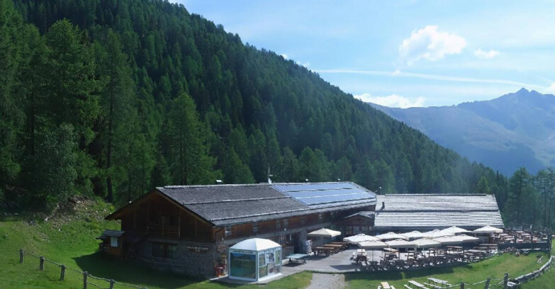Webcam Pejo 3000 - Rifugio Scoiattolo