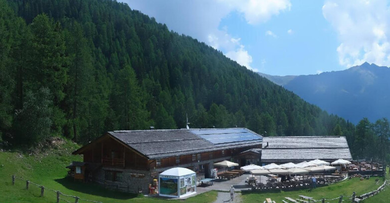 Webcam Pejo 3000 - Rifugio Scoiattolo