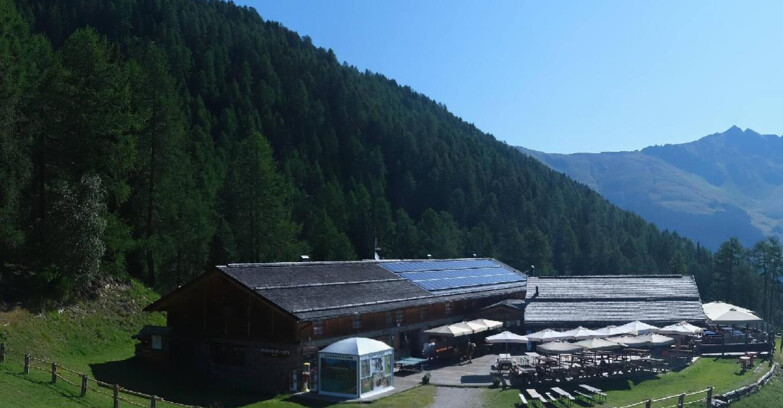 Webcam Pejo 3000 - Scoiattolo Berghütte