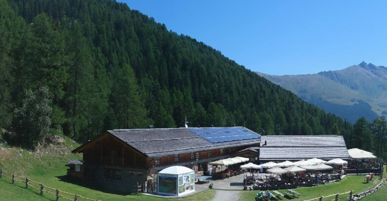 Webcam Pejo 3000 - Scoiattolo Berghütte