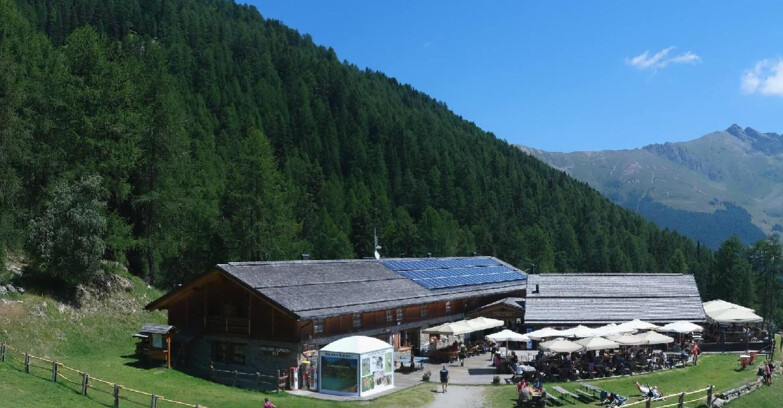 Webcam Pejo 3000 - Scoiattolo Berghütte