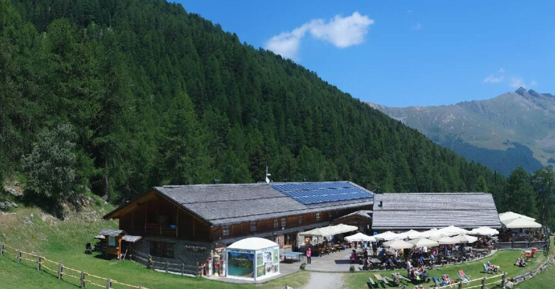 Webcam Pejo 3000 - Scoiattolo Berghütte