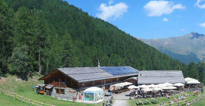 Webcam Pejo 3000 - Scoiattolo Berghütte