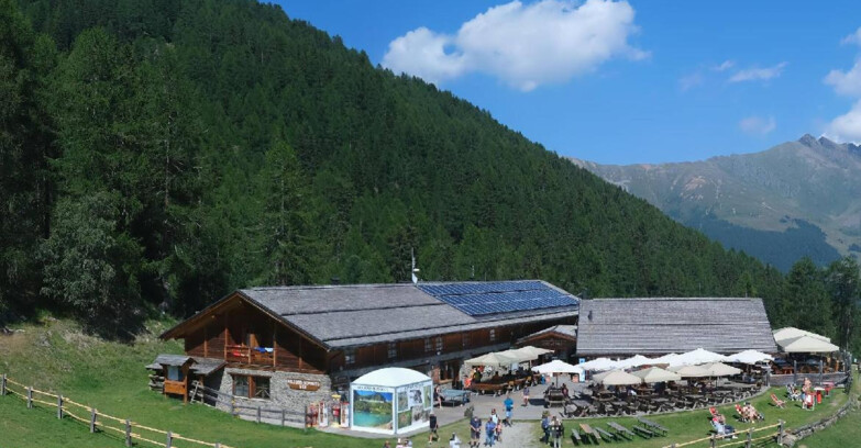 Webcam Pejo 3000 - Scoiattolo Berghütte