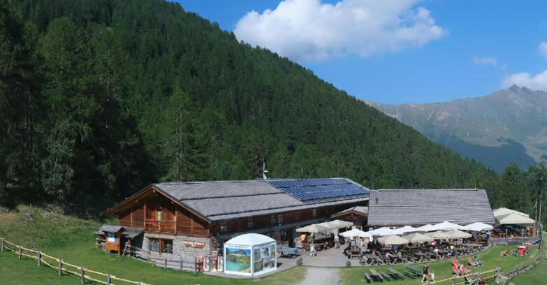 Webcam Pejo 3000 - Scoiattolo Berghütte