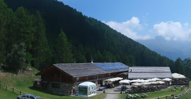 Webcam Pejo 3000 - Rifugio Scoiattolo
