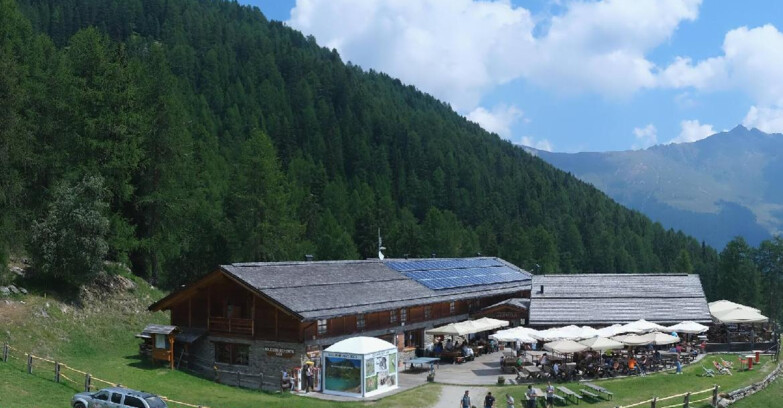 Webcam Pejo 3000 - Rifugio Scoiattolo