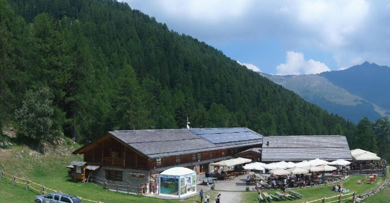Webcam Pejo 3000 - Rifugio Scoiattolo