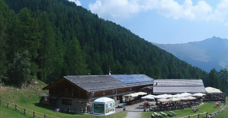 Webcam Pejo 3000 - Rifugio Scoiattolo