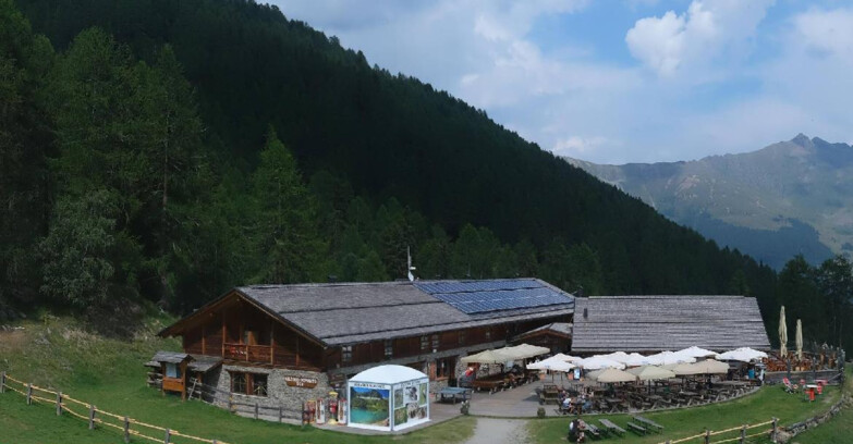 Webcam Pejo 3000 - Rifugio Scoiattolo