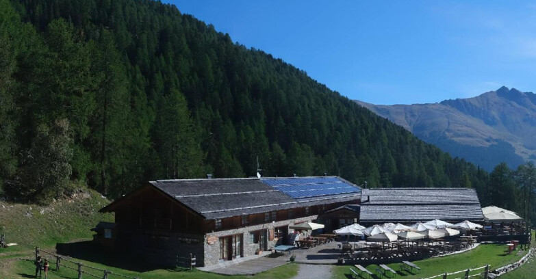 Webcam Pejo 3000 - Rifugio Scoiattolo