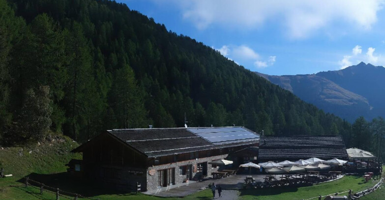 Webcam Pejo 3000 - Rifugio Scoiattolo
