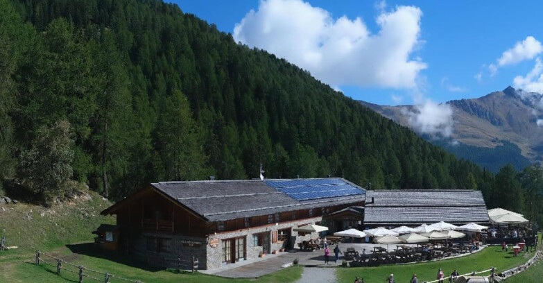 Webcam Pejo 3000 - Rifugio Scoiattolo