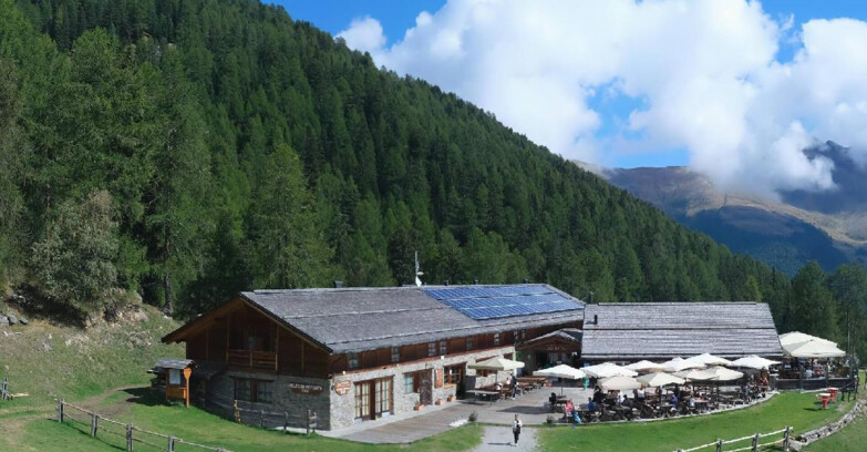 Webcam Pejo 3000 - Rifugio Scoiattolo