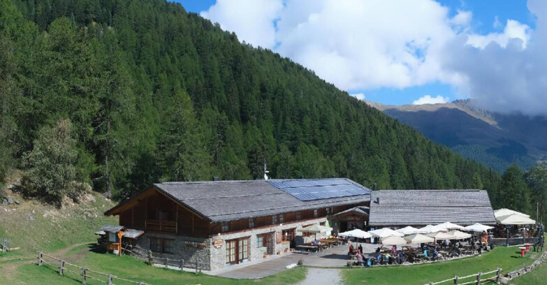 Webcam Pejo 3000 - Rifugio Scoiattolo