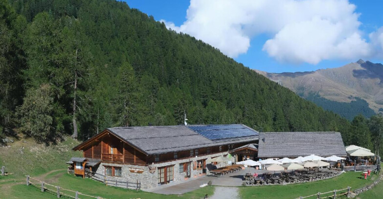 Webcam Pejo 3000 - Rifugio Scoiattolo