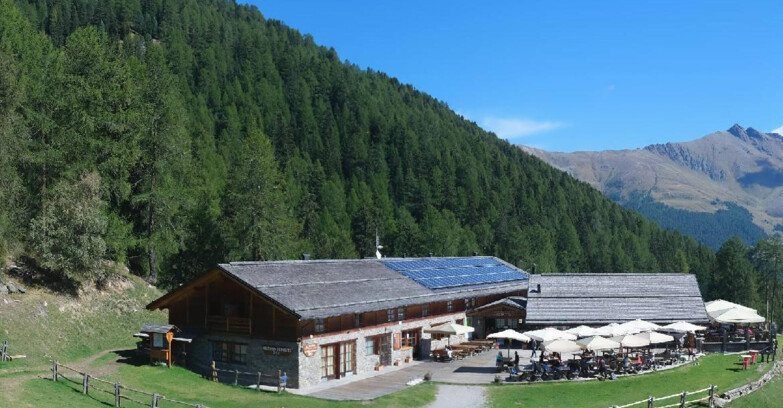 Webcam Pejo 3000 - Rifugio Scoiattolo