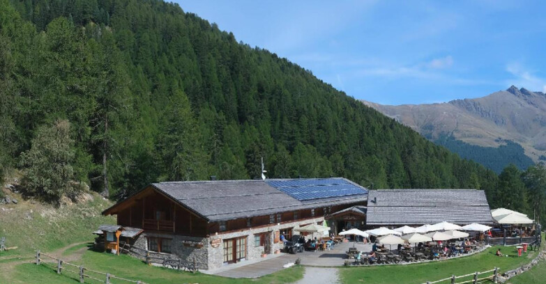 Webcam Pejo 3000 - Rifugio Scoiattolo