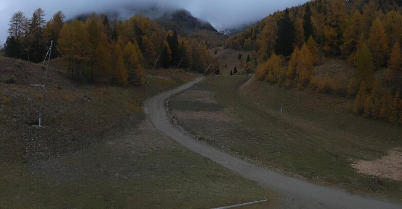 Webcam Пейо 3000 - Scoiattolo Ski School