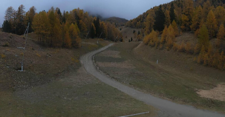 Webcam Pejo 3000 - Scoiattolo Ski School Webcam Pejo 3000 - Scoiattolo Ski School