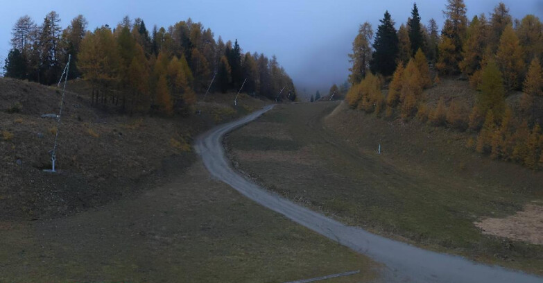 Webcam Pejo 3000 - Scoiattolo Ski School Webcam Pejo 3000 - Scoiattolo Ski School