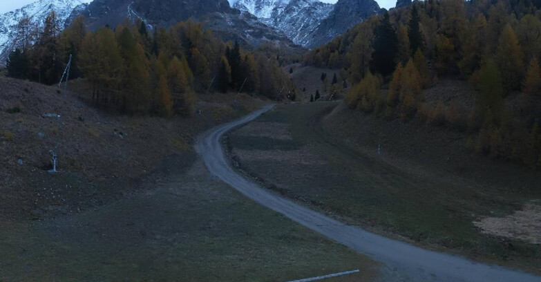 Webcam Пейо 3000 - Scoiattolo Ski School Webcam Пейо 3000 - Scoiattolo Ski School