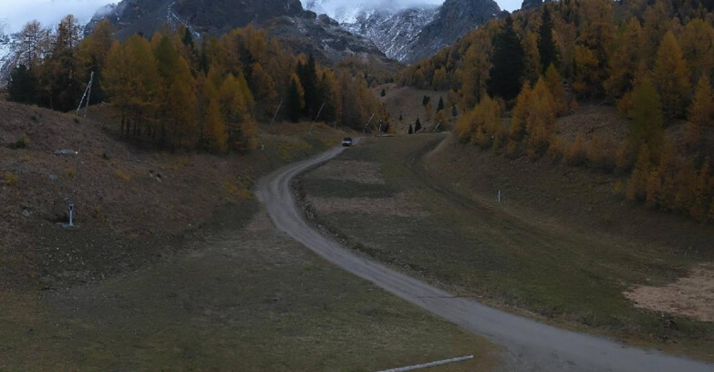 Webcam Пейо 3000 - Scoiattolo Ski School Webcam Пейо 3000 - Scoiattolo Ski School