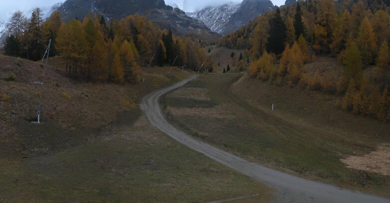 Webcam Пейо 3000 - Scoiattolo Ski School