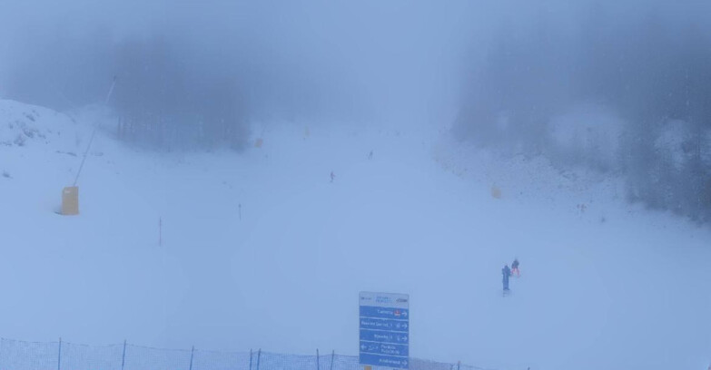 Webcam Pejo 3000 - Campo Scuola Scoiattolo