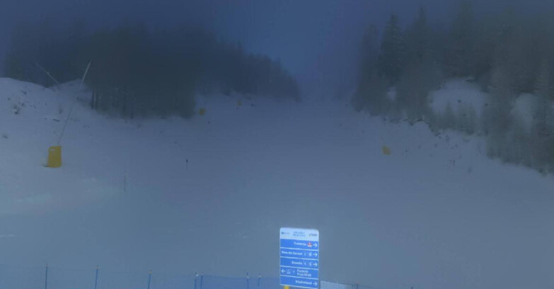 Webcam Pejo 3000 - Campo Scuola Scoiattolo