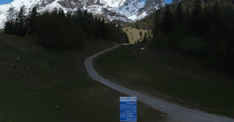 Webcam Pejo 3000 - Scoiattolo Ski School
