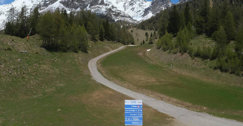 Webcam Pejo 3000 - Scoiattolo Ski School