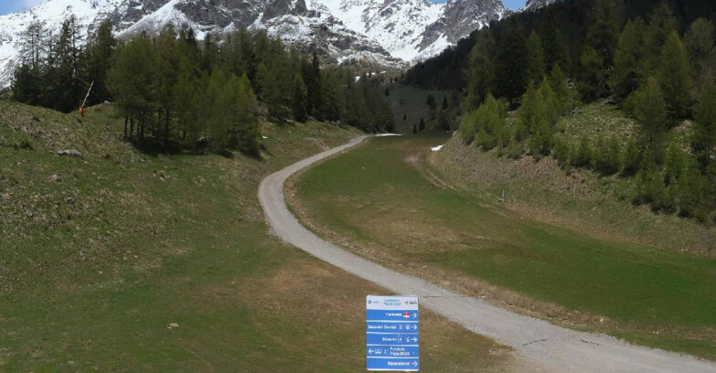 Webcam Pejo 3000 - Scoiattolo Ski School