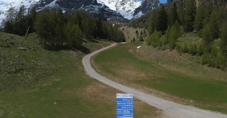 Webcam Pejo 3000 - Scoiattolo Ski School