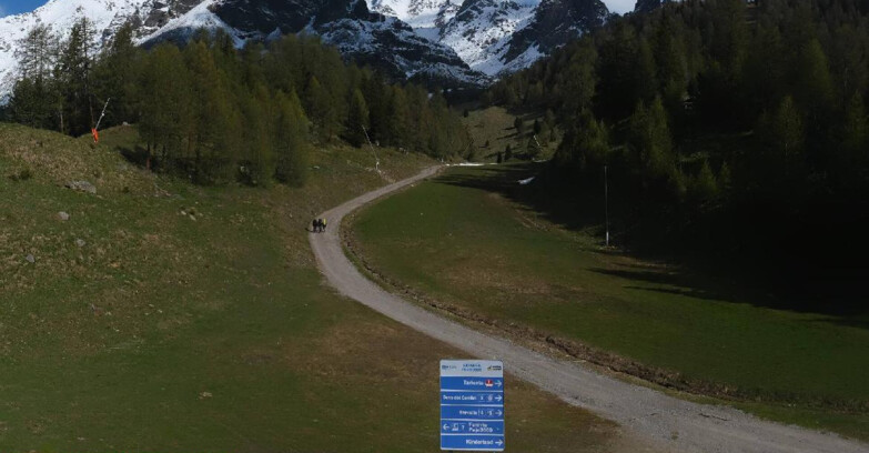 Webcam Pejo 3000 - Scoiattolo Ski School