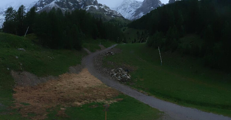 Webcam Pejo 3000 - Scoiattolo Ski School
