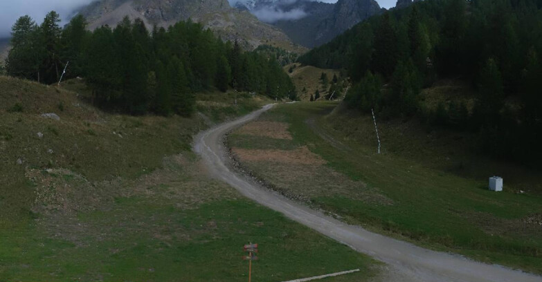 Webcam Пейо 3000 - Scoiattolo Ski School