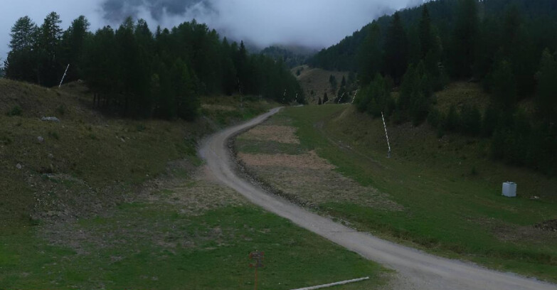 Webcam Пейо 3000 - Scoiattolo Ski School