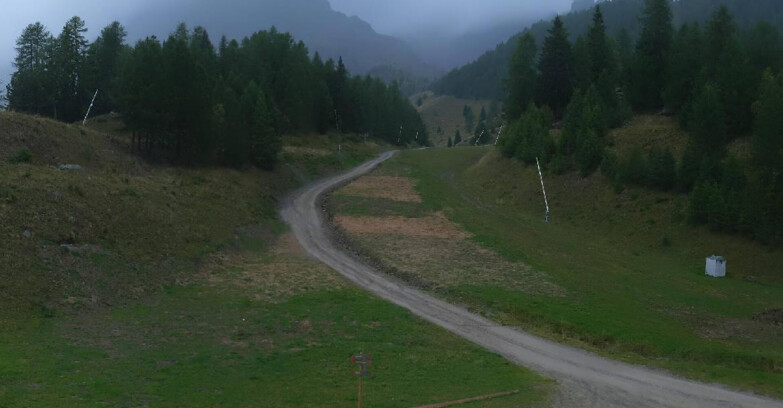 Webcam Пейо 3000 - Scoiattolo Ski School